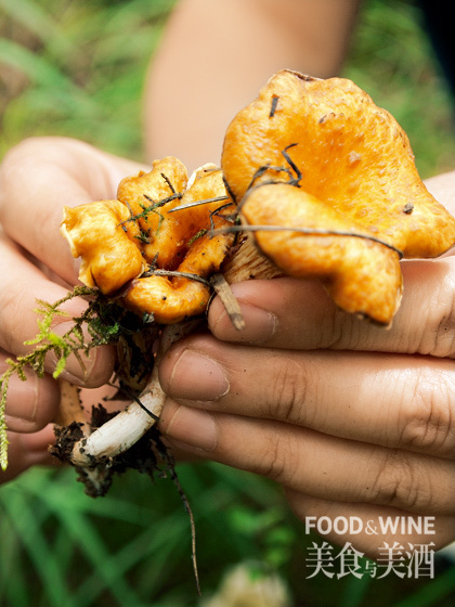 点击图片进入下一页