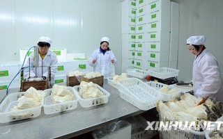 Manbetx体育手机版推荐A9版本工厂化生产促民增收 ()