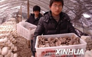 大学生田野里学创业 ()