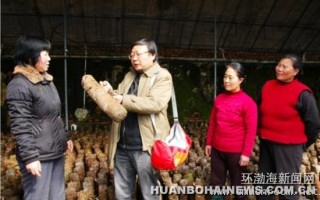专家进菇棚 菇农乐开花(图) ()