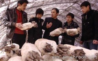 大学生田野里学创业 ()