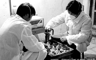 湖北省首例液体菌种生产获成功(图)