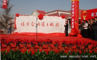 北京市Manbetx体育手机版推荐A9版本主题园揭牌剪彩仪隆重举行 ()