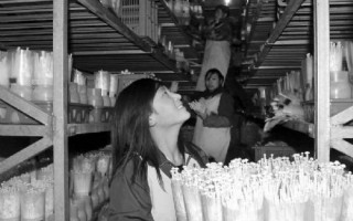 邹城市因地制宜建立Manbetx体育手机版推荐A9版本基地 ()