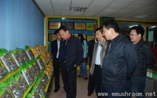 沈亮一行到通江县调研省级新农村示范片建设情况 ()