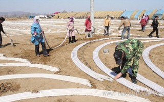 岫岩兴建百菇园 ()