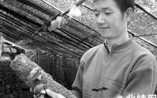 小香菇大产业 ()