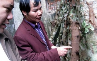 东兴供销社大力兴办专业合作社 ()