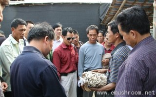 宜州市举办贫困村党组织书记专题培训班(图) ()