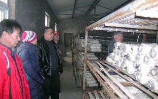 科普专家讲课忙 农民朋友喜心上 ()