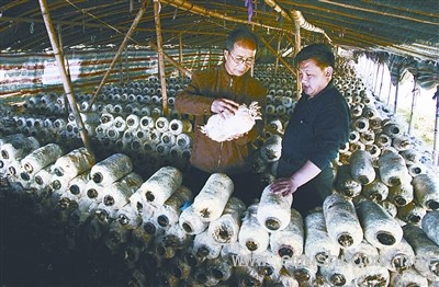 解读陈咏祥：浑身散出泥土清香(组图)