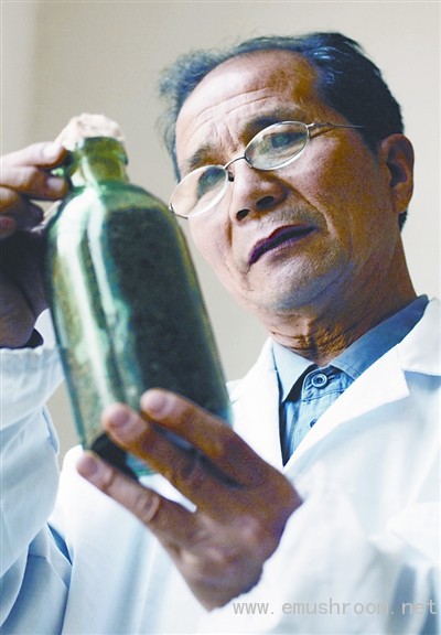 职高老师带领108户菇农致富(图)