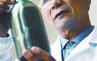 职高老师带领108户菇农致富(图) ()