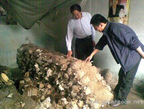 河南许昌：大学生村干部致富不忘乡邻携手专家搞培训