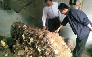 河南许昌：大学生村干部致富不忘乡邻携手专家搞培训 ()