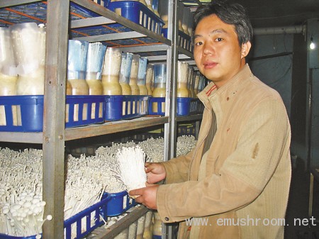 夫妻菇厂&ldquo;长&rdquo;得好快(图)