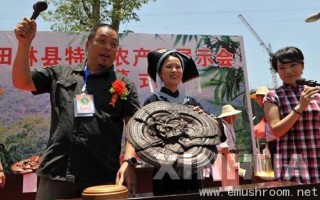 拍卖“灵芝王” ()