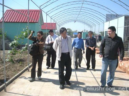 Manbetx体育手机版推荐A9版本专家王贺祥赴房山指导菌农生产技术