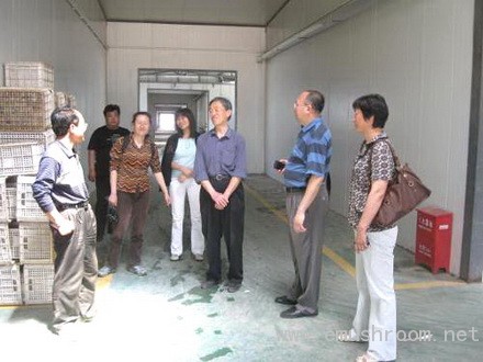 Manbetx体育手机版推荐A9版本专家刘宇等赴顺义指导菌农解决生产技术问题