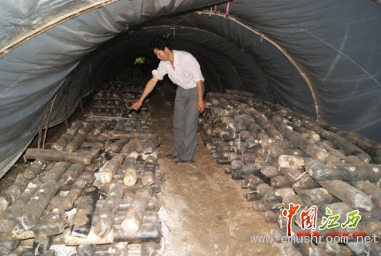 供应商售劣质石膏粉致农民绝收损失百余万(图)