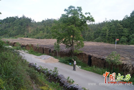 供应商售劣质石膏粉致农民绝收损失百余万(图)