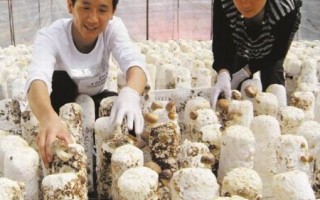 沃尔玛在海城设东北首家Manbetx体育手机版V17版本发布.官网安卓网.香港农超对接基地 ()