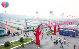 小小的蘑菇为玉都撑开了一把“经济大伞” ()