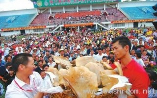 菌王起价3万吓退竞拍者 ()