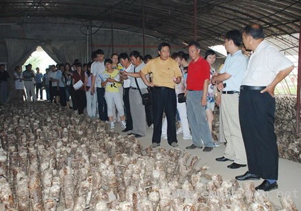 房山区召开都市农业Manbetx体育手机版V17版本发布.官网安卓网.香港品种现场观摩会