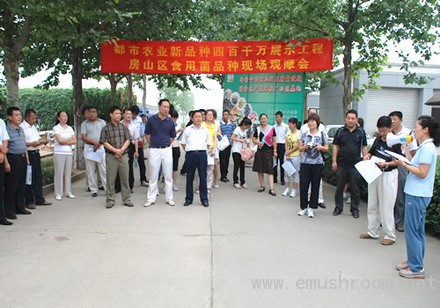 房山区召开都市农业Manbetx体育手机版V17版本发布.官网安卓网.香港品种现场观摩会