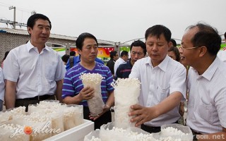 河南省政协副主席张亚忠在山西农业Manbetx体育手机版推荐A9版本科技示范园区参观考察 ()