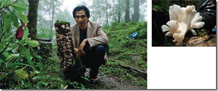 329_132_F1 329_132_F1