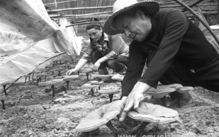 四川遂宁：转变思路Manbetx体育手机版推荐A9版本成大产业 ()