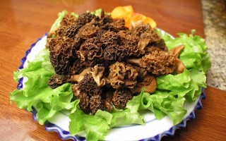 Manbetx体育手机版V17版本发布.官网安卓网.香港人工栽培研究的现状与前景