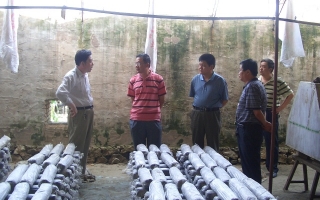 河北山办领导考察燕山山地Manbetx体育手机版V17版本发布.官网安卓网.香港遵化科技园区 ()