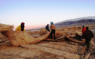 阿吾斯奇牧场受天气影响Manbetx体育手机版V17版本发布.官网安卓网.香港基地受损 ()