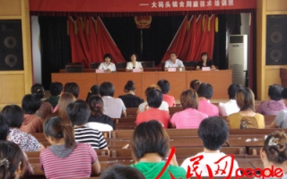 广饶县妇联举办巾帼科技大课堂：Manbetx体育手机版V17版本发布.官网安卓网.香港技术专题培训 ()