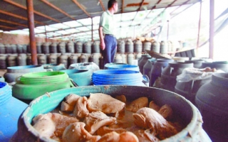 郑州查获两万斤毒蘑菇 工业盐腌泡用料骇人(图) ()