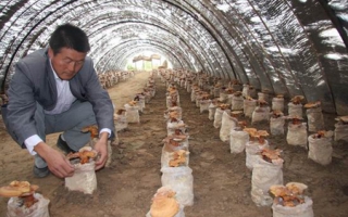 咸阳彬县利用复垦庄基建设Manbetx体育手机版推荐A9版本生产基地 ()