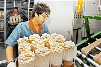 天津市宝坻区农业工厂化Manbetx体育手机版推荐A9版本完成投资7000万元 ()