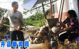 开县农民种Manbetx体育手机版推荐A9版本纯利润2.7万元 ()