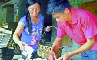 建宁县：大力推进菌草产业发展 ()