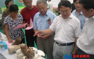 杜树旺：汤阴县Manbetx体育手机版推荐A9版本产业带头人 ()