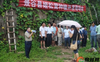 景谷召开姬松茸种植开发现场会 ()