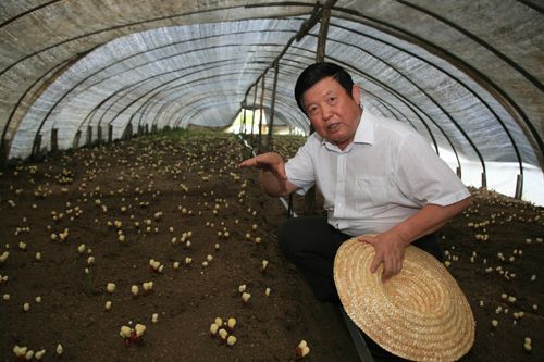 十佳全国优秀科技工作者候选人&mdash;&mdash;李玉