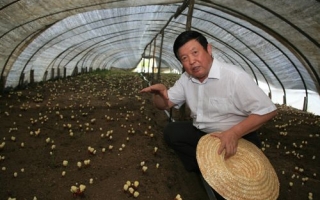 全国十佳优秀科技工作者候选人――李玉 ()