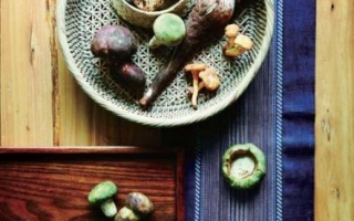 京城走进“菌儿”王国 ()