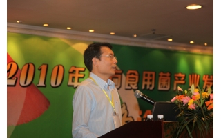 杨柏华：灵芝孢子油抗肿瘤研究新进展