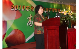 陈若芸：灵芝属真菌化学成分和质量控制方法研究