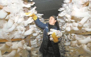 湖南省科企“联姻”促进ManBetX体育产业升级 ()